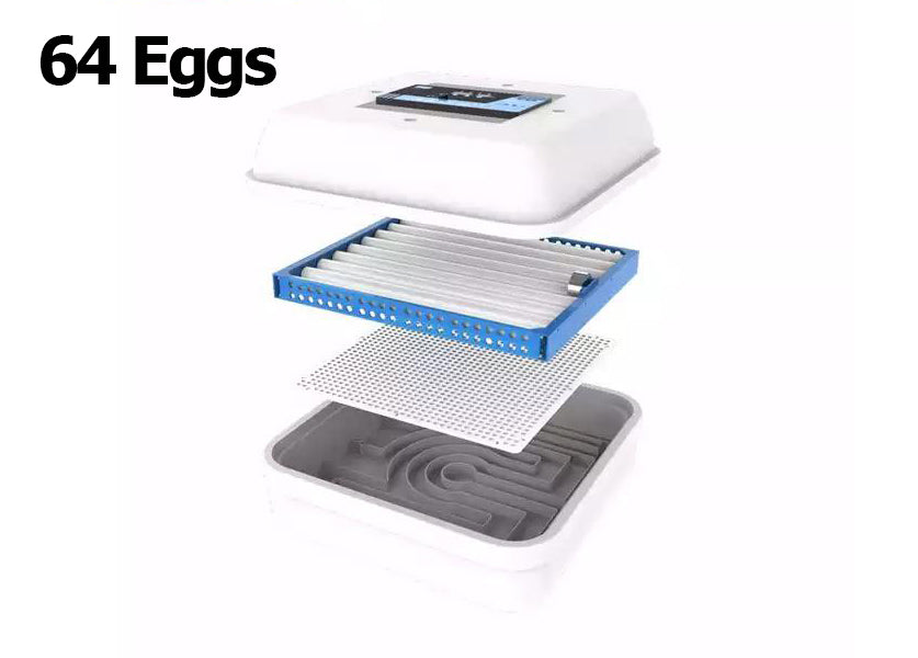 حاضنة بيض لجميع الأنواع – الذهبي G2 – سعة أربعٍ وستين بيضة
