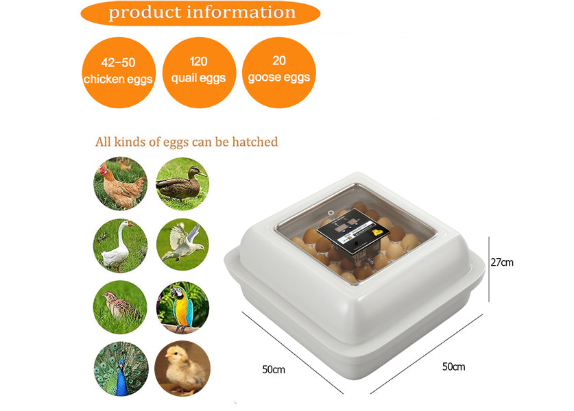 Incubateur d’œufs de poule – Modèle Golden (jusqu’à 50 œufs)
