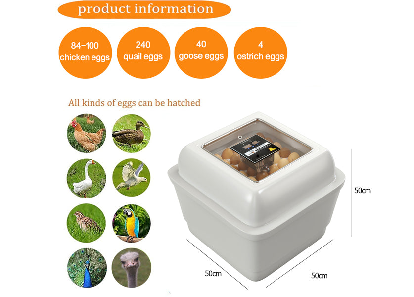 Incubateur d’œufs de poule – Modèle Twin (jusqu’à 100 œufs)
