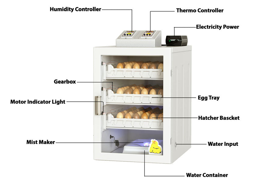 فقاسة بيض الدجاج – الطراز السهل بسعة تصل إلى مئةٍ وخمسين بيضة
