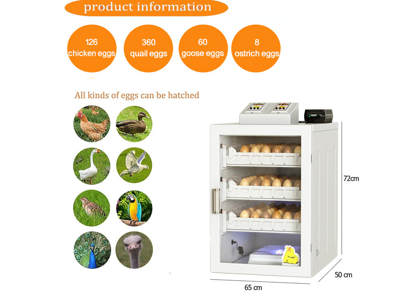 فقاسة بيض الدجاج – الطراز السهل بسعة تصل إلى مئةٍ وخمسين بيضة
