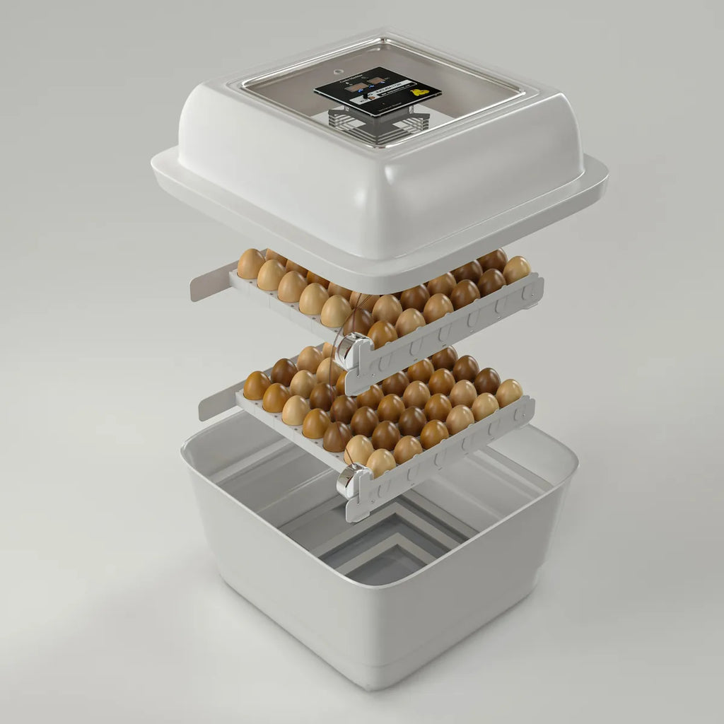 Chicken Egg Incubator – Twin Model (Up to 100 Eggs)