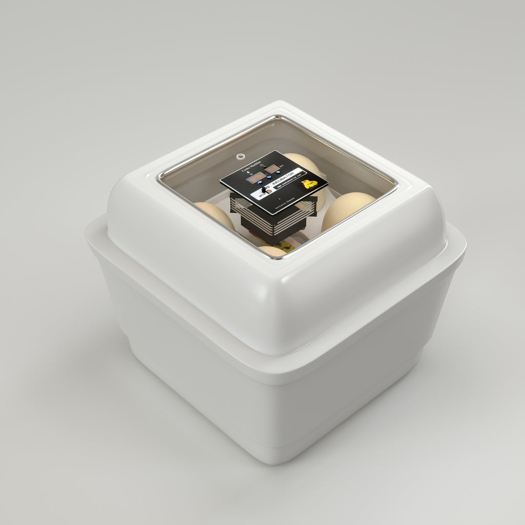 فقاسة بيض النعام – الطراز المزدوج بسعة أربع بيضات