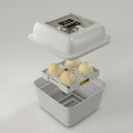 Small Ostrich Egg Incubator with four eggs on a gray background